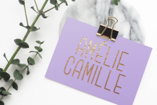 Amélie Camille: A Script Font for Campaign Designers