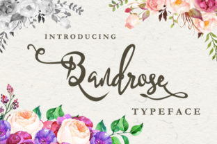 Bandrose Family Brings Warm Craft to Modern Branding