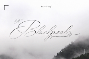 Blackpool Font: A Script Typeface Built for Elegant Brand Projects
