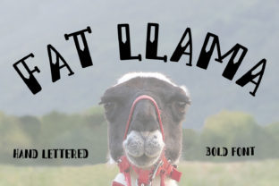 Fat Llama: A Bold Hand Lettered Font That Gives Small Brands Real Personality