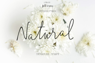 Natural Font: A Web Designer's Review of a Script Typeface