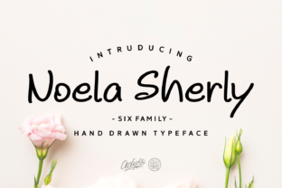 Noela Sherly: A Designer's Take on a Script Amp That Works