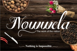 Nowwela: A Script Font That Brings Editorial Polish to Web Design