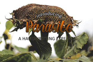 Parasite Font: A Bold Handwriting Typeface for Web